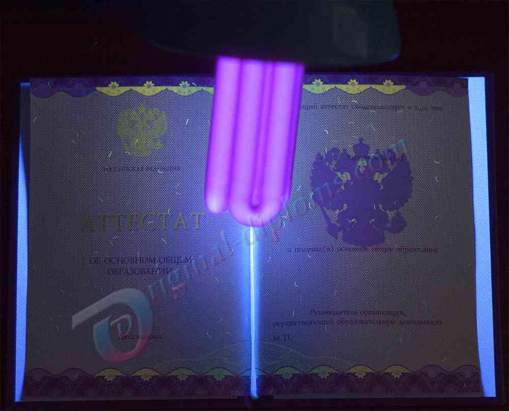 Аттестат о среднем обр. за 9 классов 2014-2026